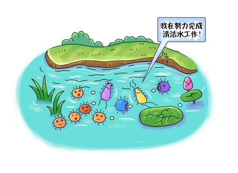 中水法